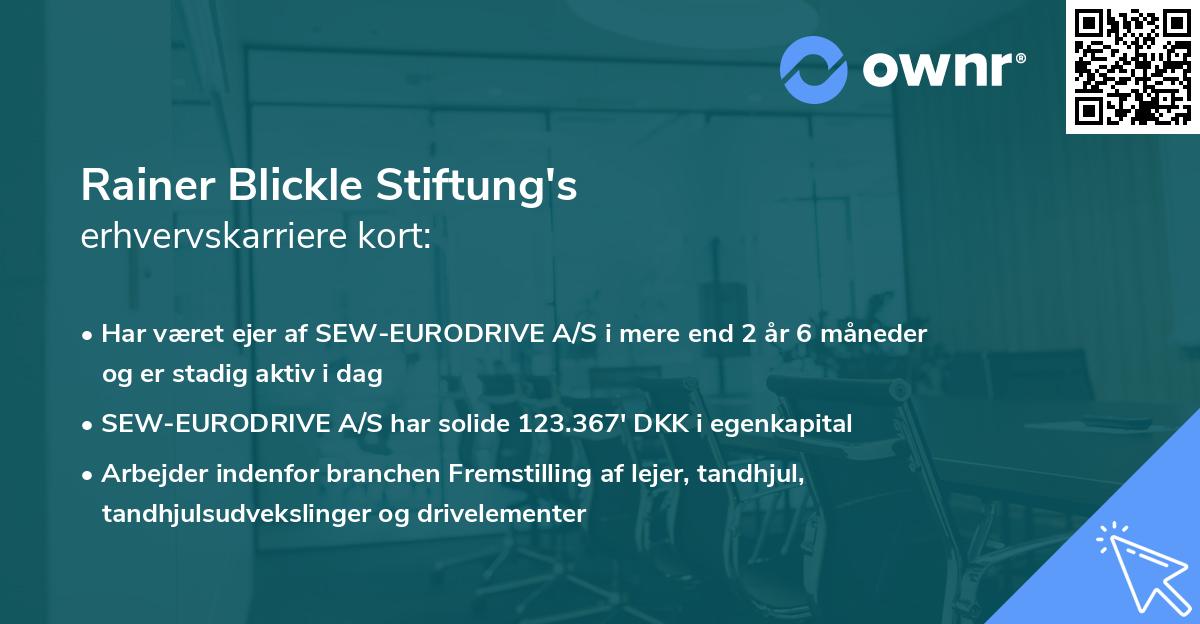 Rainer Blickle Stiftung's erhvervskarriere kort