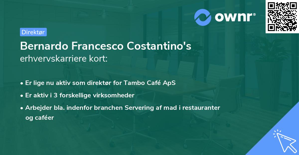 Bernardo Francesco Costantino's erhvervskarriere kort