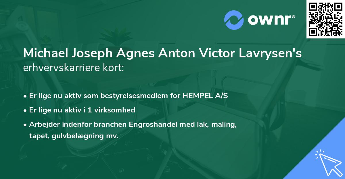 Michael Joseph Agnes Anton Victor Lavrysen's erhvervskarriere kort