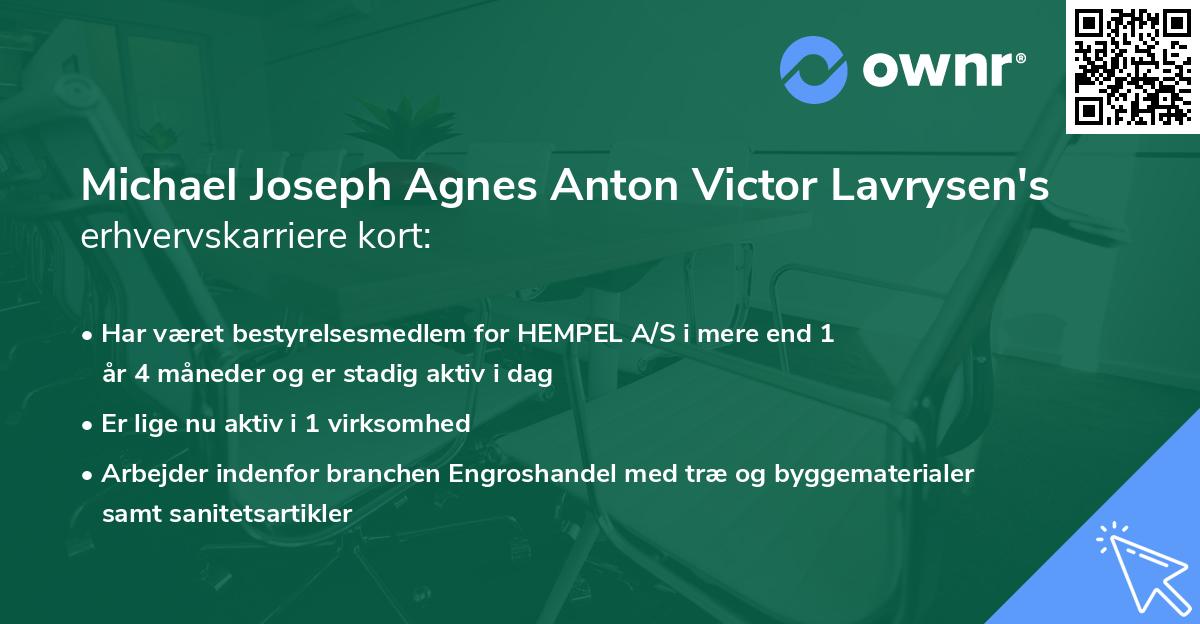 Michael Joseph Agnes Anton Victor Lavrysen's erhvervskarriere kort