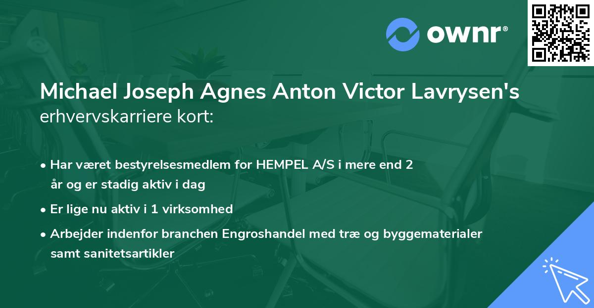 Michael Joseph Agnes Anton Victor Lavrysen's erhvervskarriere kort