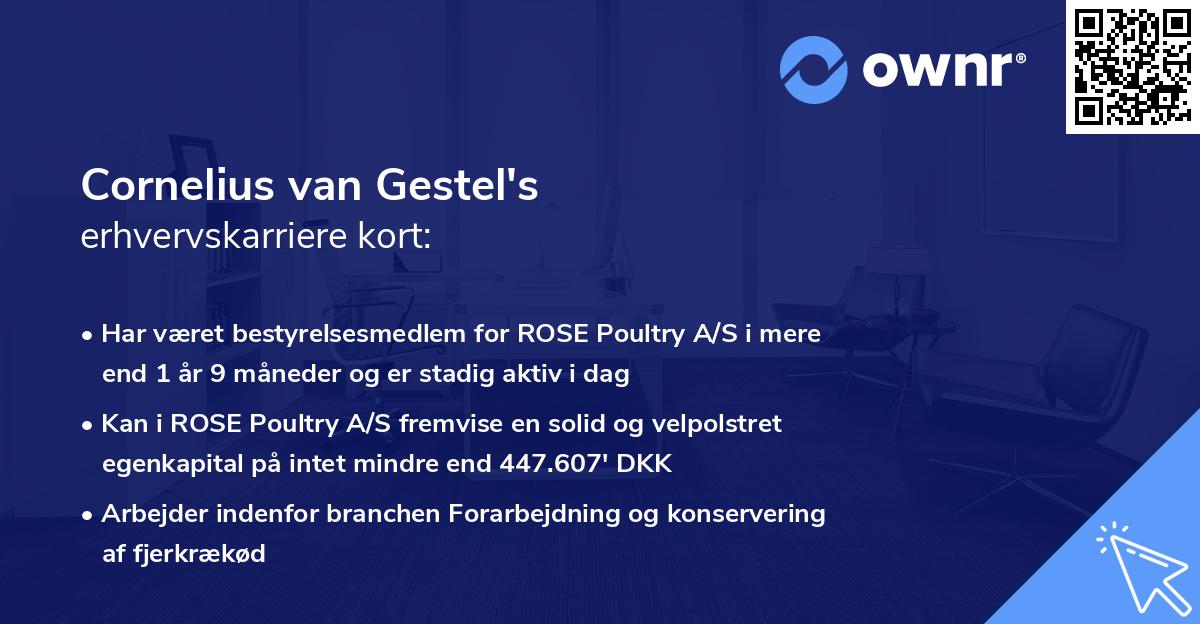 Cornelius van Gestel's erhvervskarriere kort