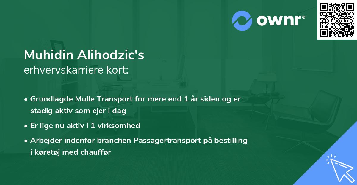 Muhidin Alihodzic's erhvervskarriere kort