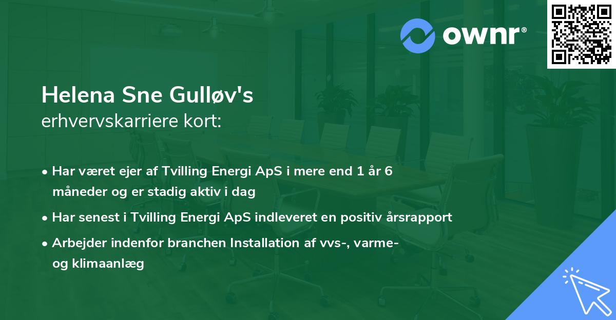 Helena Sne Gulløv's erhvervskarriere kort