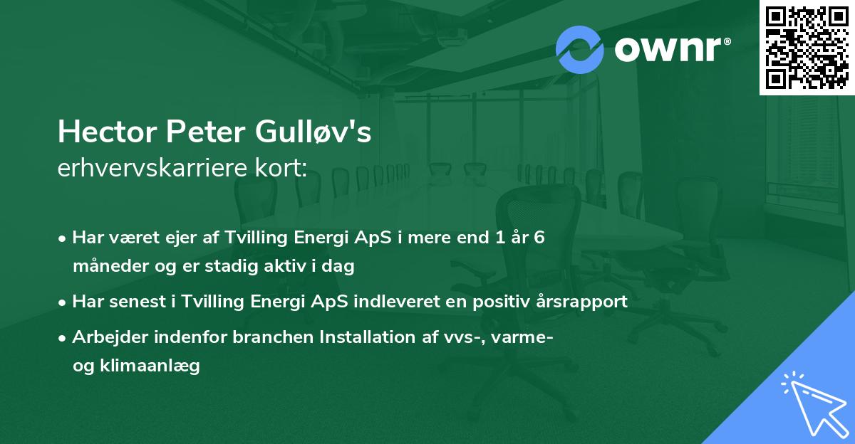 Hector Peter Gulløv's erhvervskarriere kort