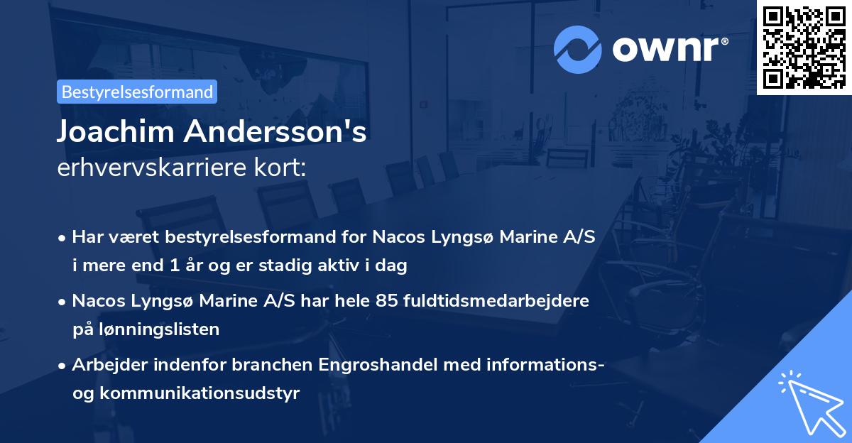 Joachim Andersson's erhvervskarriere kort