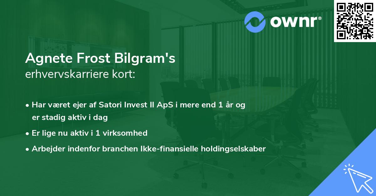Agnete Frost Bilgram's erhvervskarriere kort