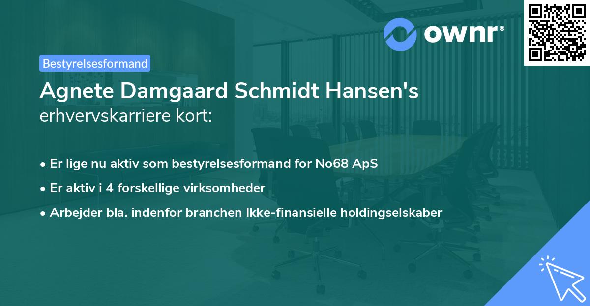 Agnete Damgaard Schmidt Hansen's erhvervskarriere kort