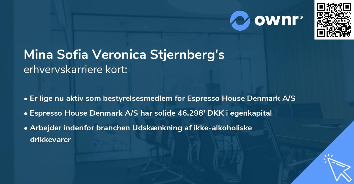 Mina Sofia Veronica Stjernberg's erhvervskarriere kort