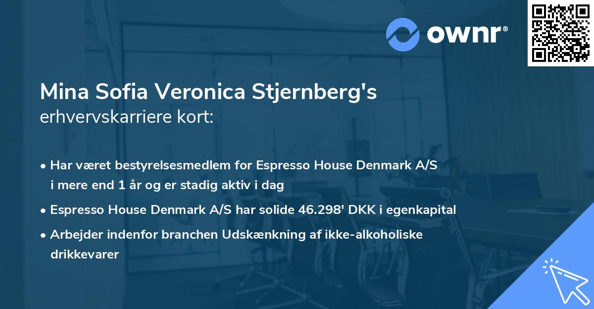 Mina Sofia Veronica Stjernberg's erhvervskarriere kort