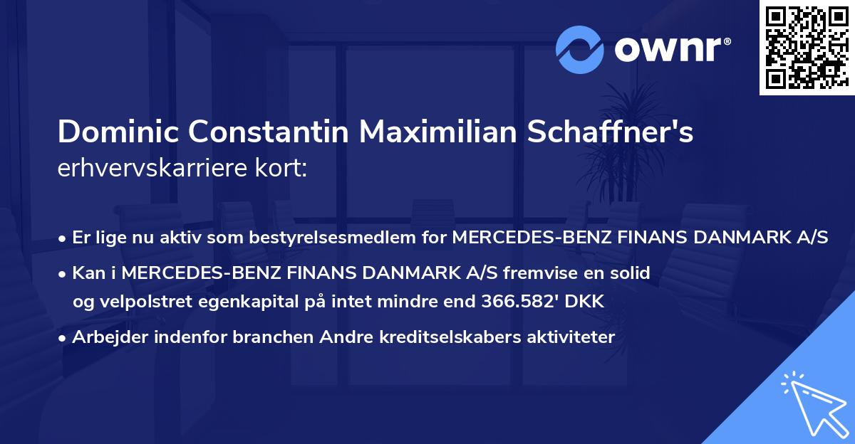 Dominic Constantin Maximilian Schaffner's erhvervskarriere kort