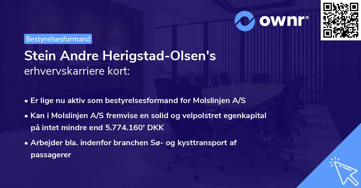 Stein Andre Herigstad-Olsen's erhvervskarriere kort