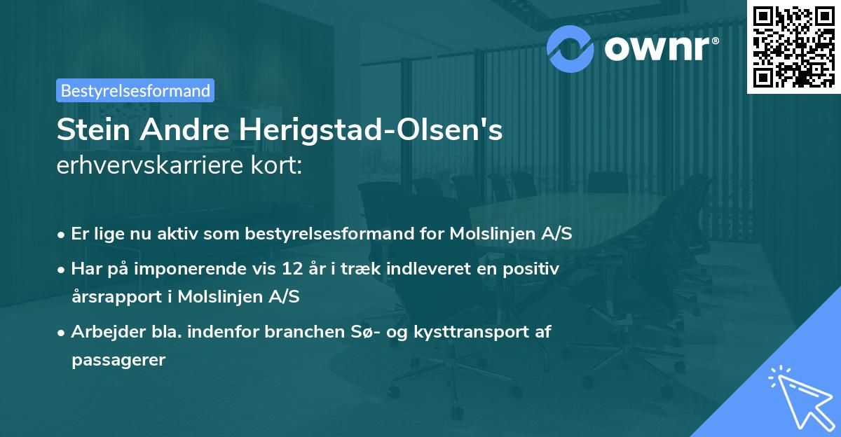 Stein Andre Herigstad-Olsen's erhvervskarriere kort