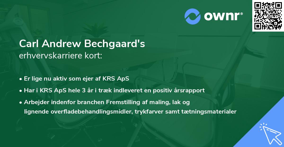 Carl Andrew Bechgaard's erhvervskarriere kort