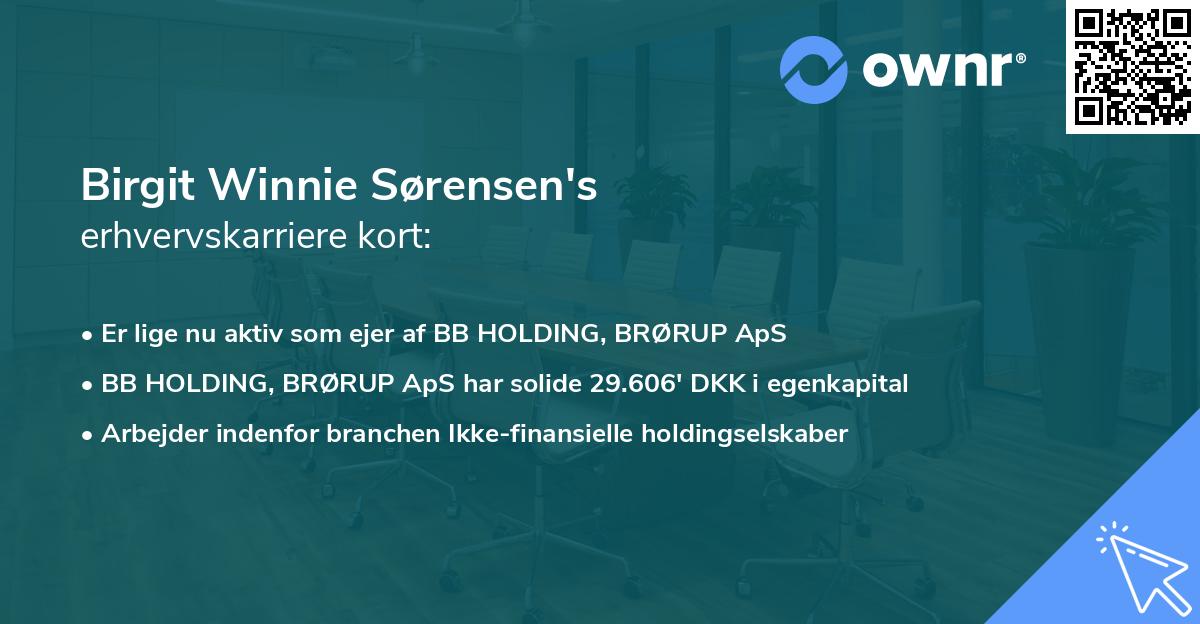Birgit Winnie Sørensen's erhvervskarriere kort
