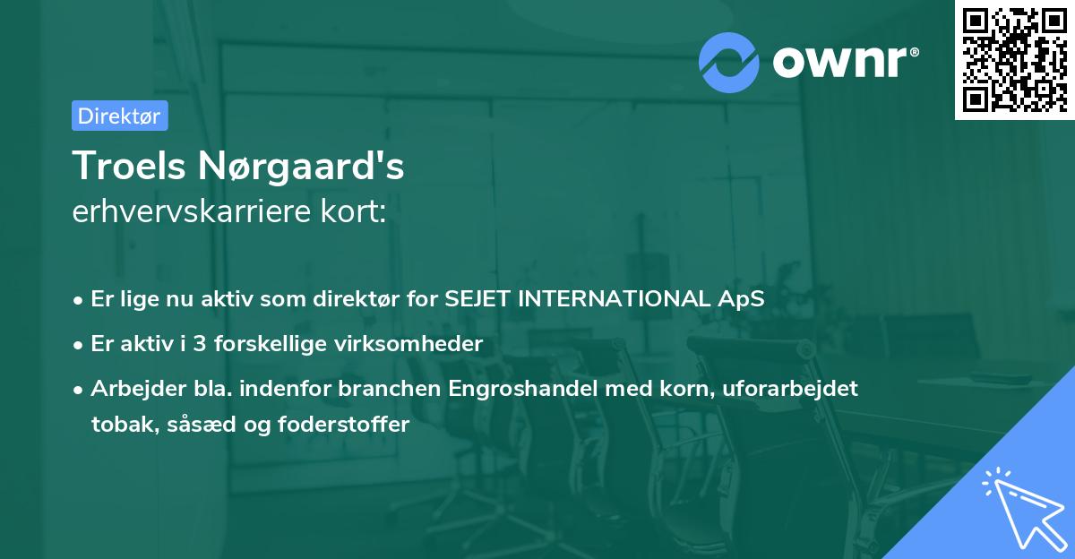 Troels Nørgaard's erhvervskarriere kort