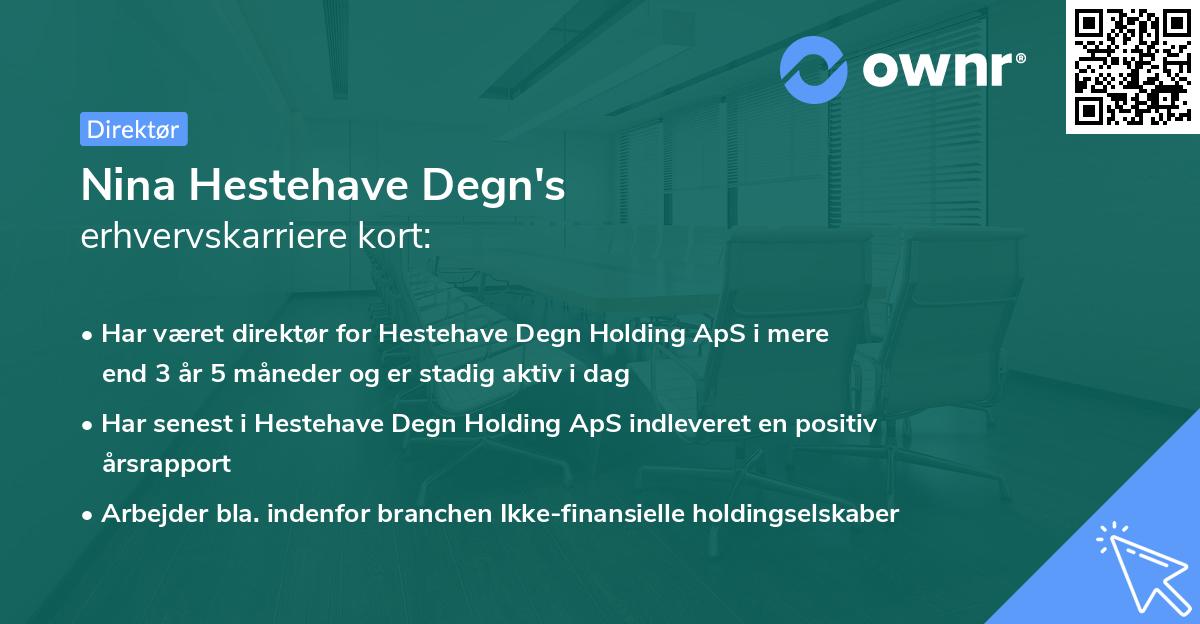 Nina Hestehave Degn's erhvervskarriere kort