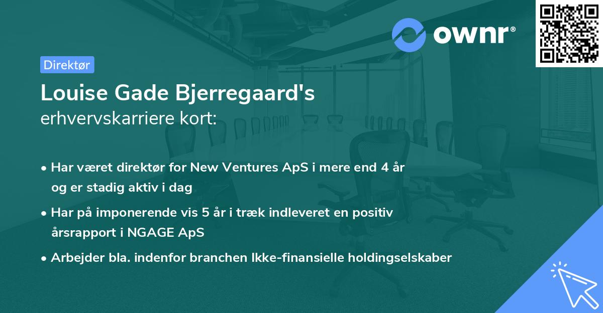 Louise Gade Bjerregaard's erhvervskarriere kort