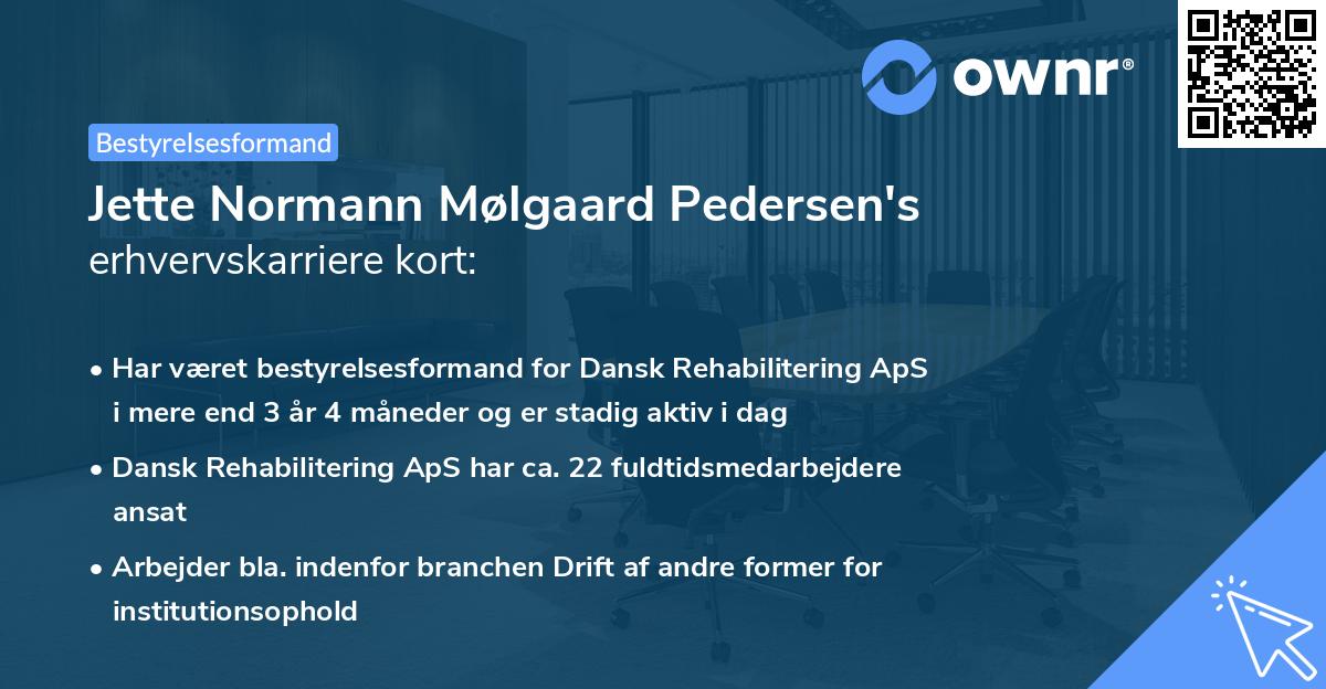 Jette Normann Mølgaard Pedersen's erhvervskarriere kort