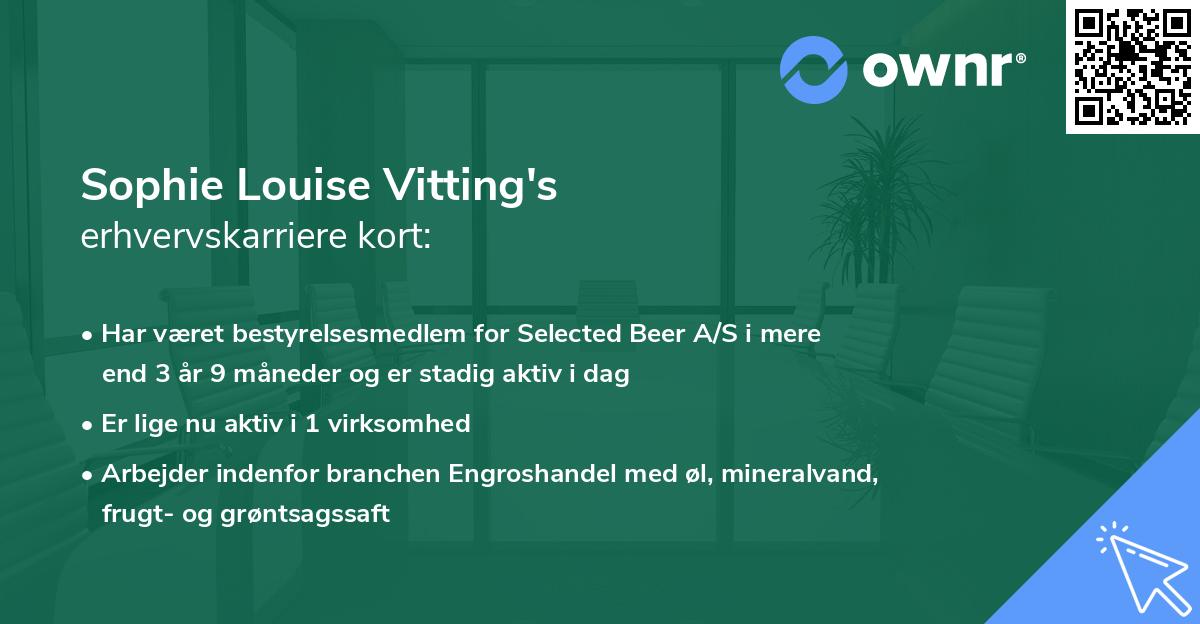 Sophie Louise Vitting's erhvervskarriere kort