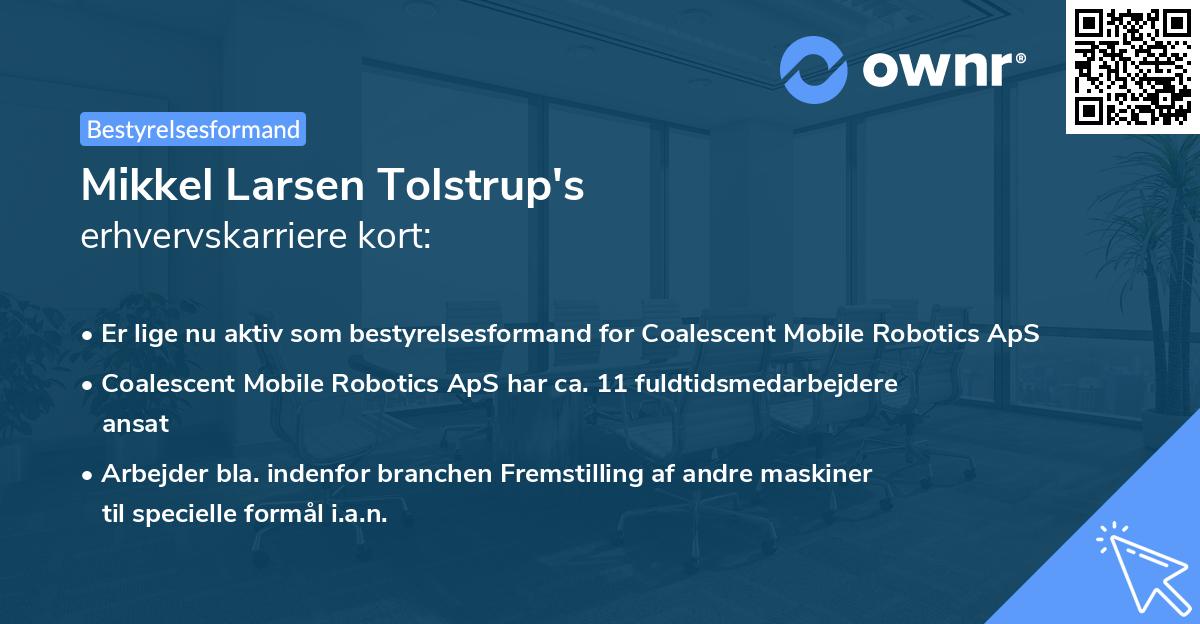 Mikkel Larsen Tolstrup's erhvervskarriere kort
