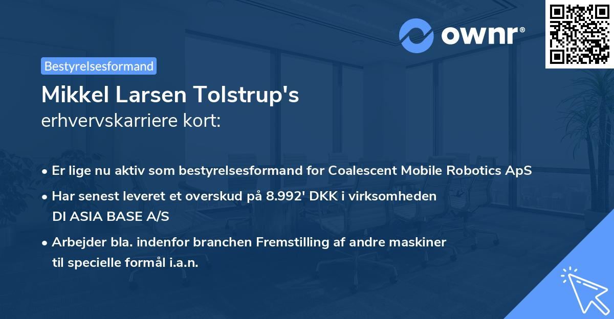 Mikkel Larsen Tolstrup's erhvervskarriere kort