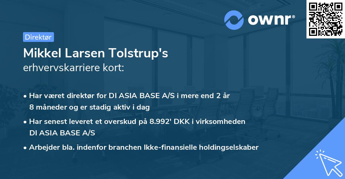 Mikkel Larsen Tolstrup's erhvervskarriere kort