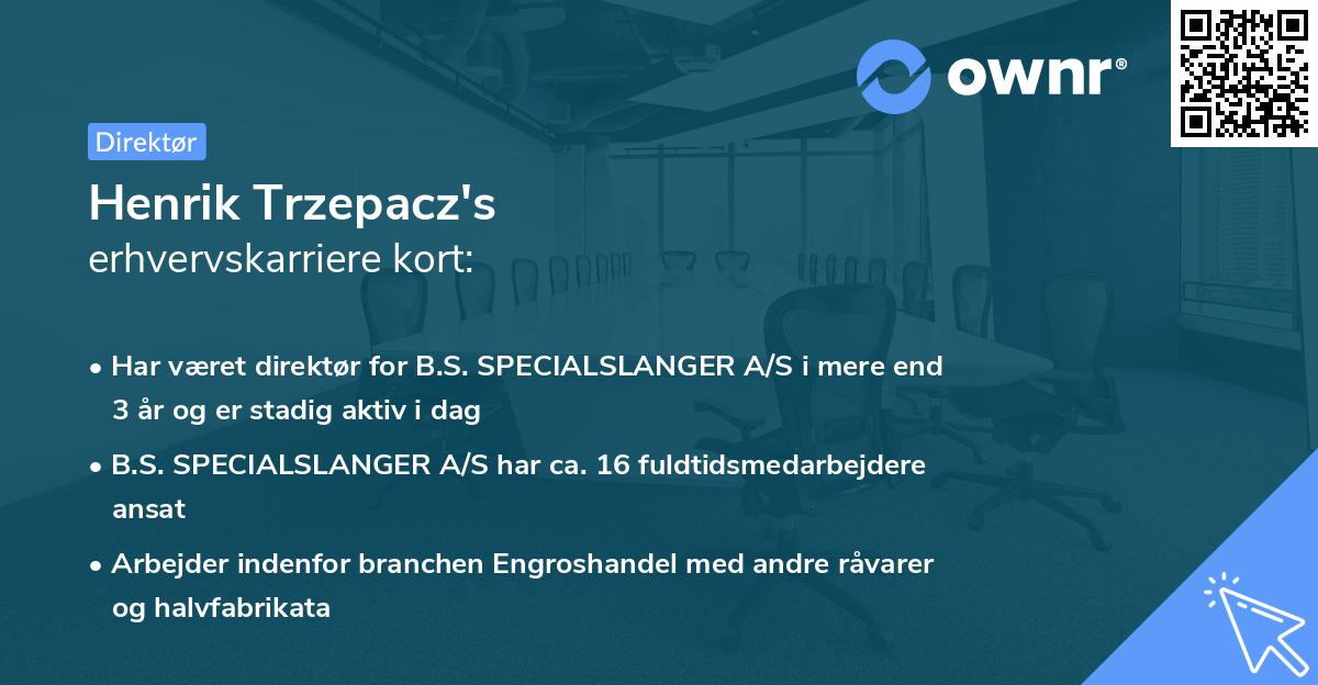 Henrik Trzepacz's erhvervskarriere kort