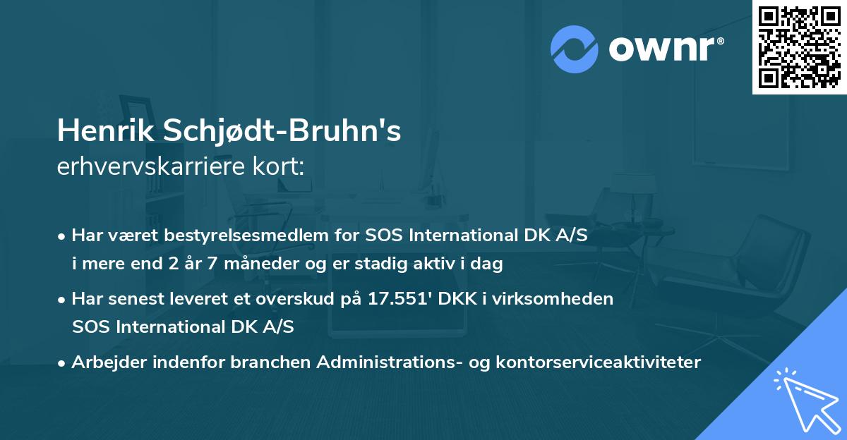Henrik Schjødt-Bruhn's erhvervskarriere kort
