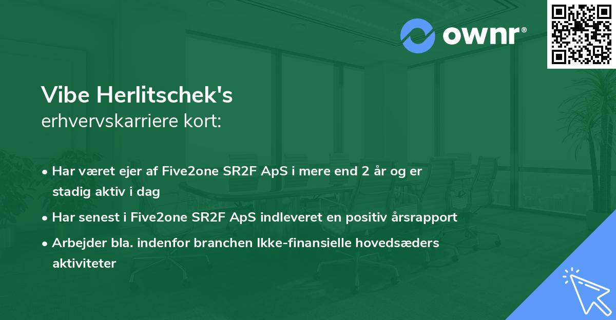 Vibe Herlitschek's erhvervskarriere kort