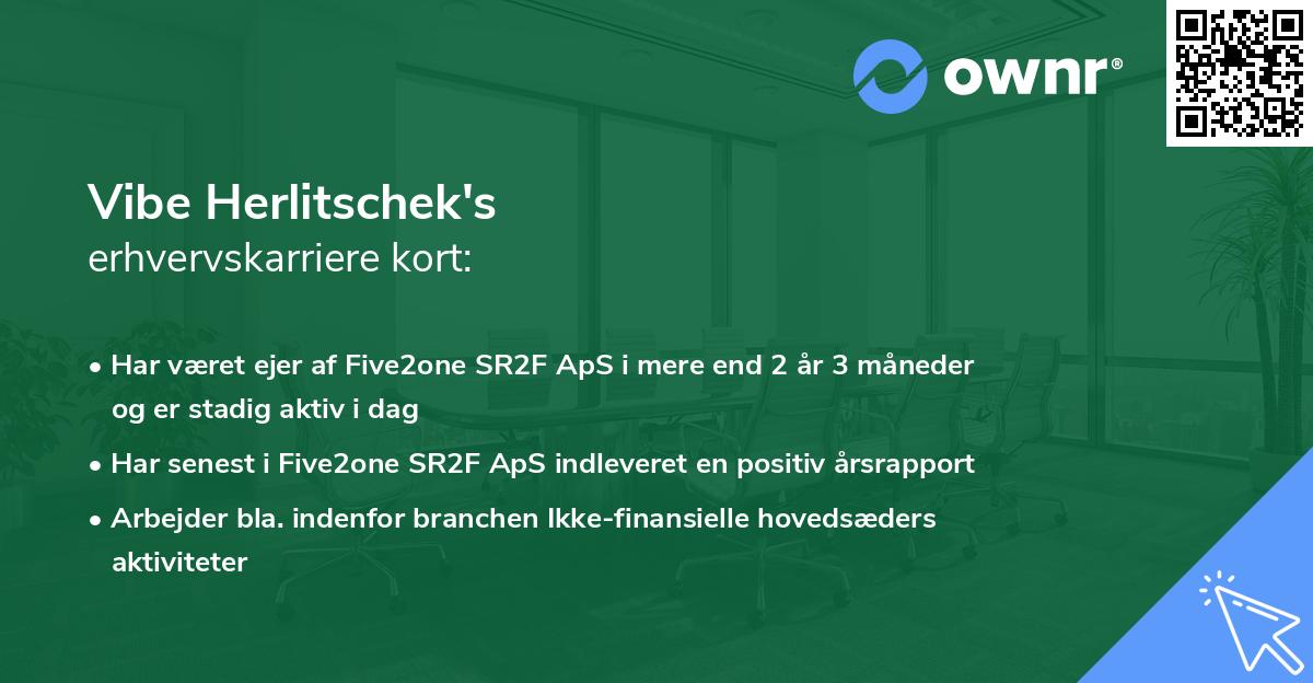 Vibe Herlitschek's erhvervskarriere kort
