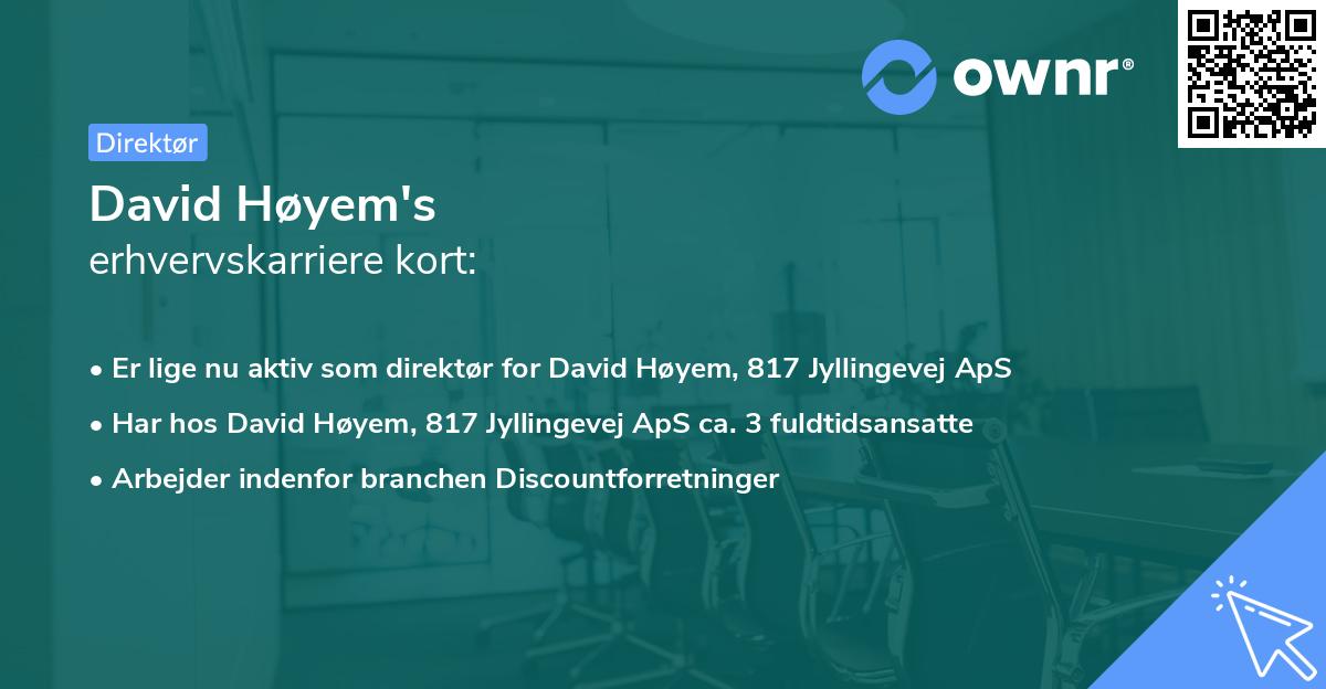 David Høyem's erhvervskarriere kort