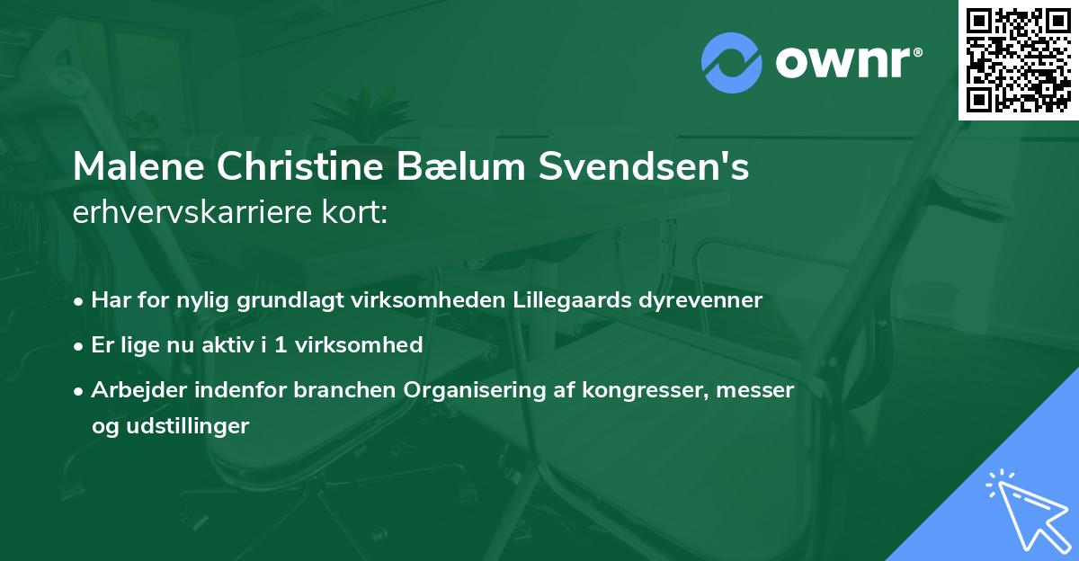 Malene Christine Bælum Svendsen's erhvervskarriere kort