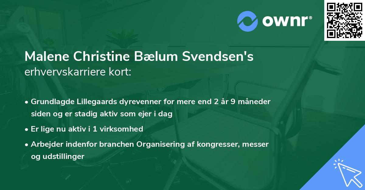 Malene Christine Bælum Svendsen's erhvervskarriere kort