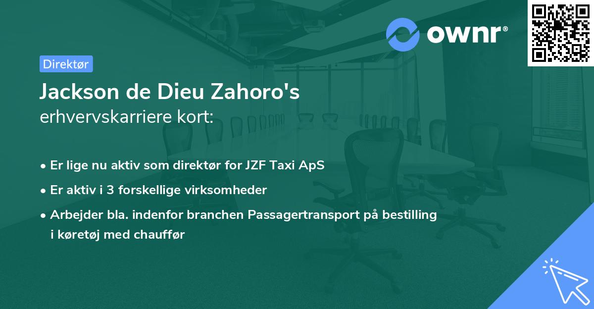 Jackson de Dieu Zahoro's erhvervskarriere kort