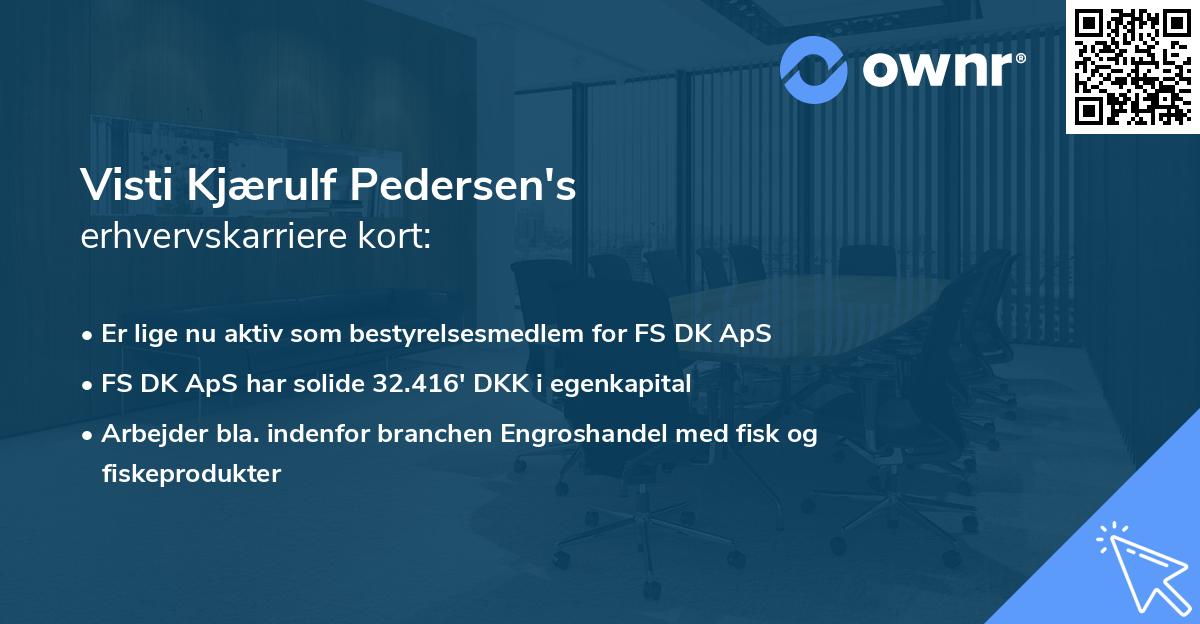 Visti Kjærulf Pedersen's erhvervskarriere kort
