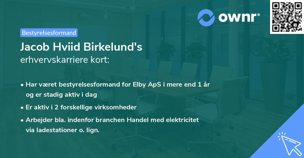 Jacob Hviid Birkelund's erhvervskarriere kort