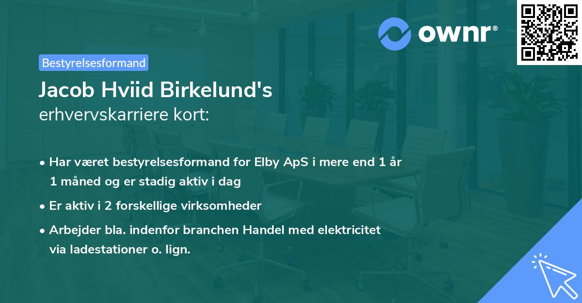 Jacob Hviid Birkelund's erhvervskarriere kort