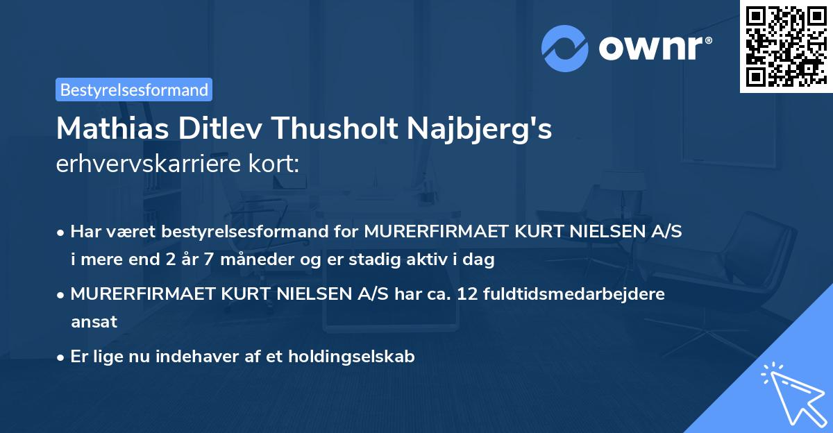 Mathias Ditlev Thusholt Najbjerg's erhvervskarriere kort