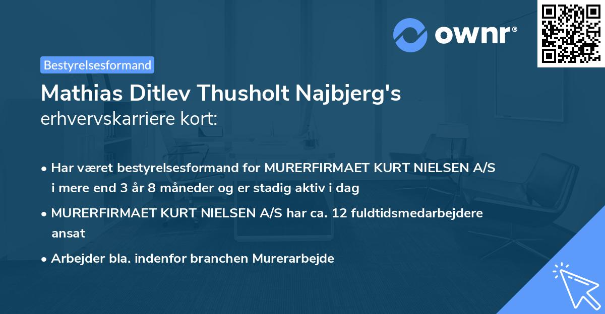 Mathias Ditlev Thusholt Najbjerg's erhvervskarriere kort