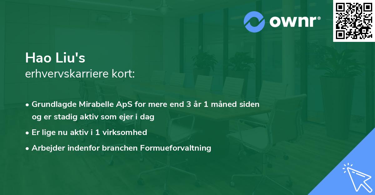 Hao Liu's erhvervskarriere kort