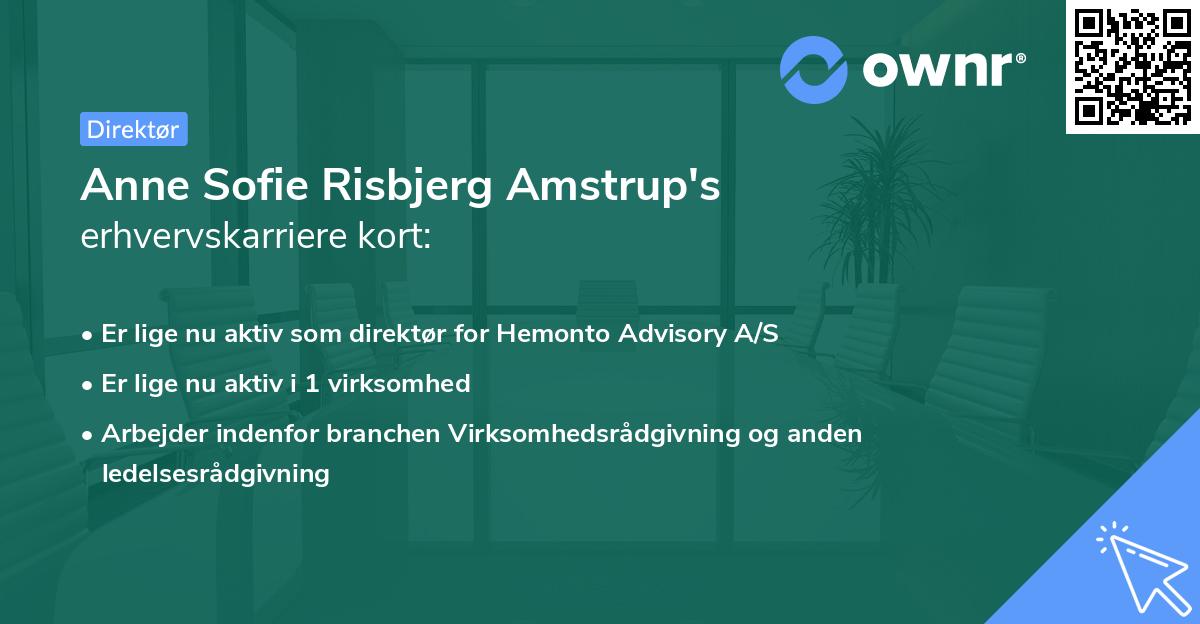 Anne Sofie Risbjerg Amstrup's erhvervskarriere kort