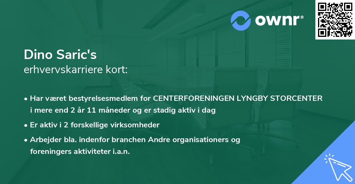 Dino Saric's erhvervskarriere kort