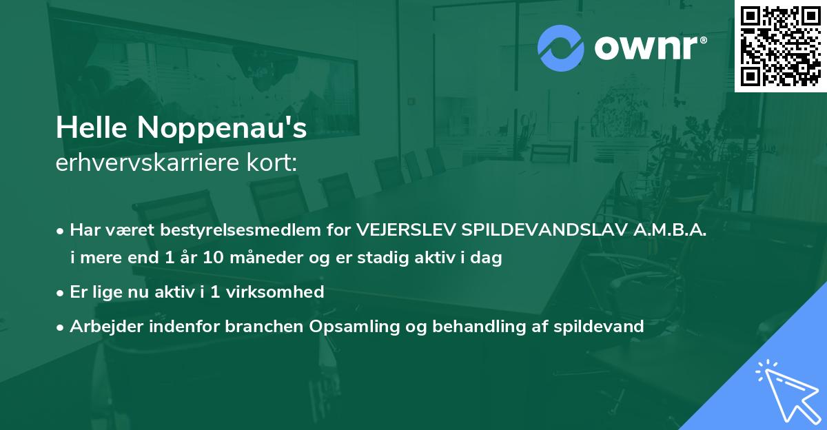 Helle Noppenau's erhvervskarriere kort