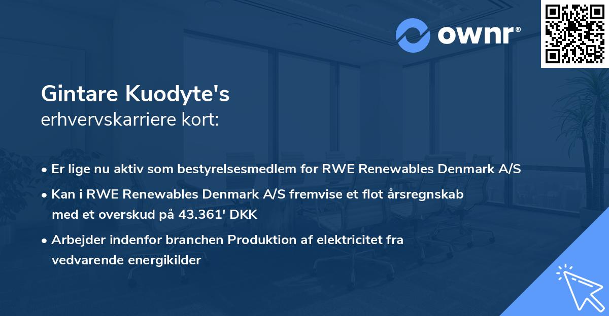 Gintare Kuodyte's erhvervskarriere kort