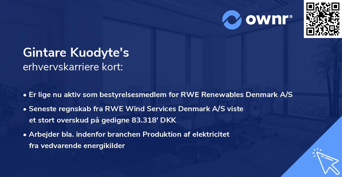 Gintare Kuodyte's erhvervskarriere kort