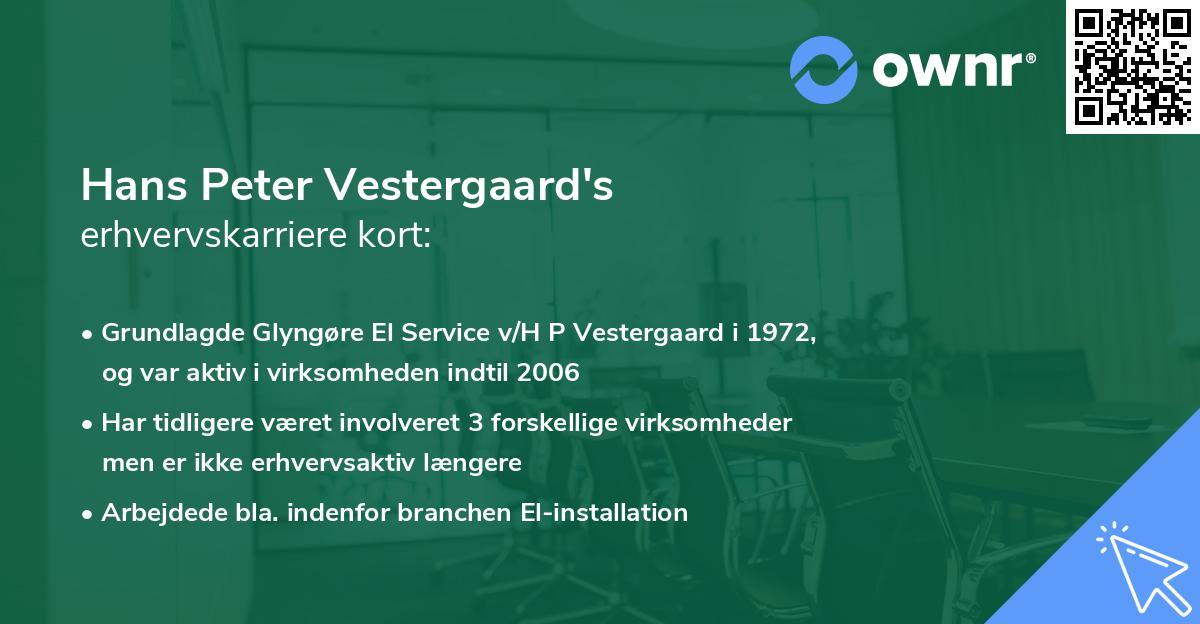 Hans Peter Vestergaard's erhvervskarriere kort