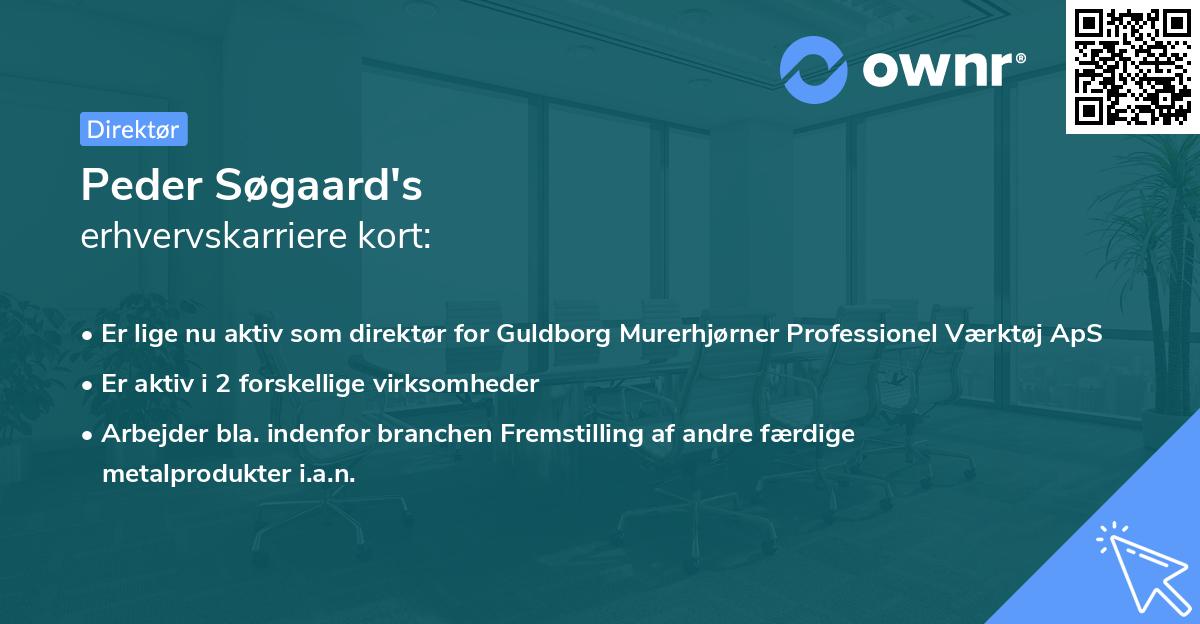 Peder Søgaard's erhvervskarriere kort