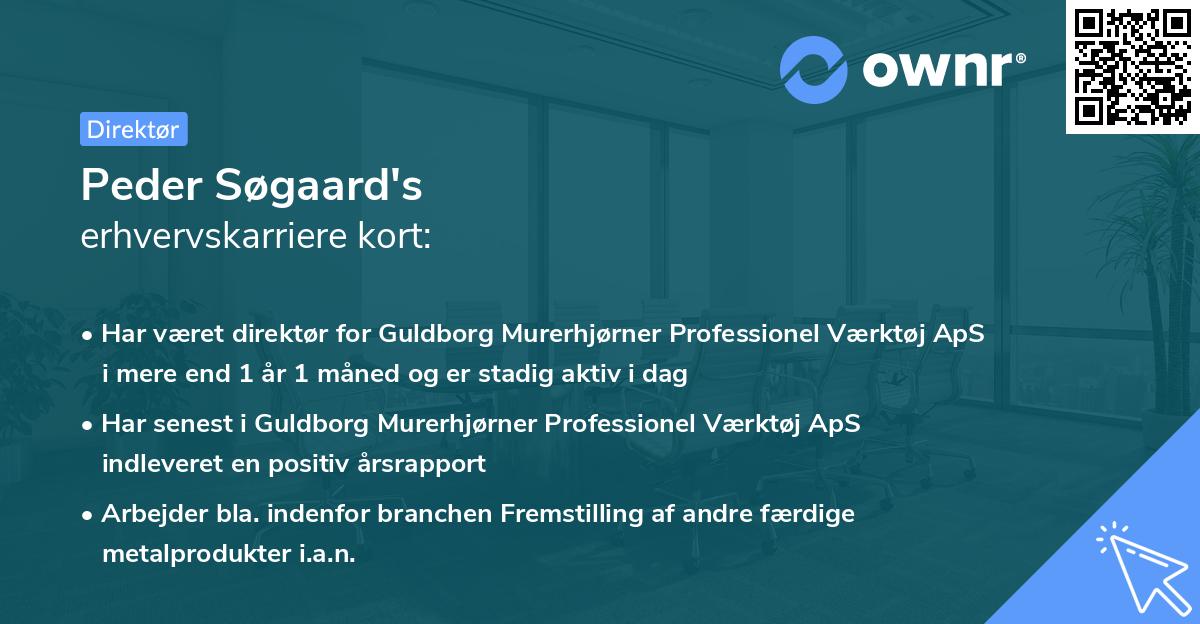 Peder Søgaard's erhvervskarriere kort