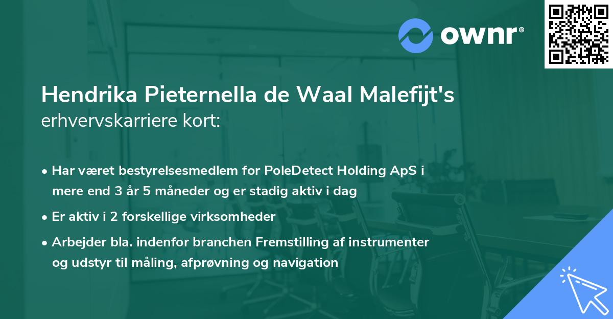 Hendrika Pieternella de Waal Malefijt's erhvervskarriere kort